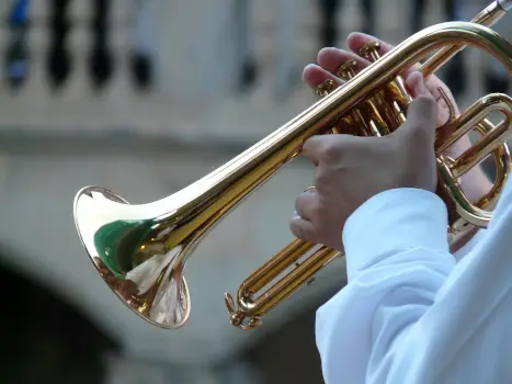Sound energy example - trumpet