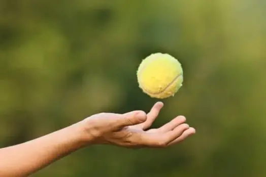 Gravity example - tennis ball