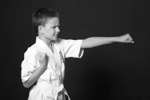 Momentum Example - Karate Champion