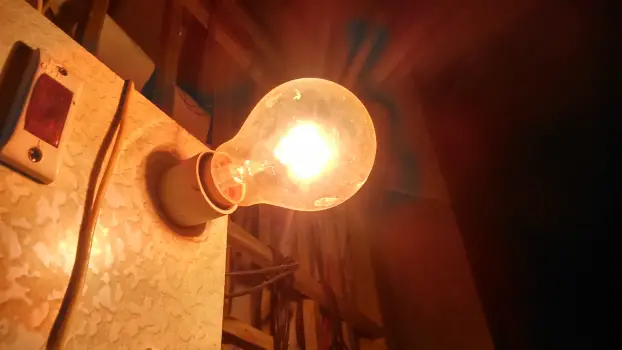 Light Energy Example - Light Bulb