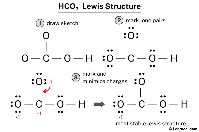 HCO3- Lewis Structure