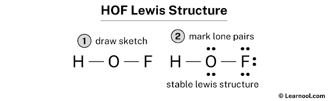 HOF Lewis Structure
