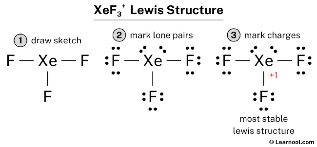 Lewis Structure of XeF3+