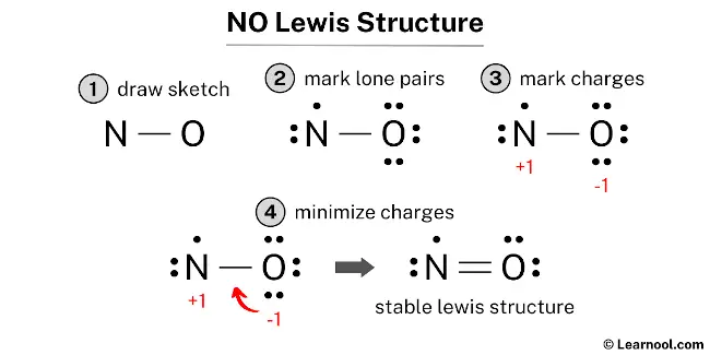 NO Lewis Structure