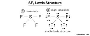 SF4 Lewis structure - Learnool