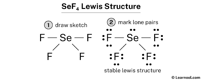 SeF4 Lewis Structure