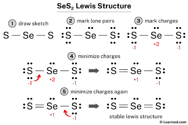 SeS2 Lewis Structure