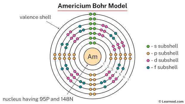 Americium Bohr Model