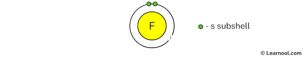 Fluorine Shell 1
