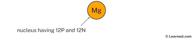 Magnesium Nucleus