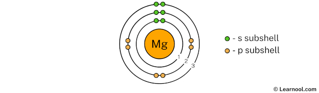 Magnesium Shell 3
