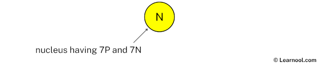 Nitrogen Nucleus