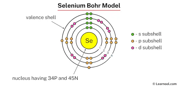 Selenium Bohr model