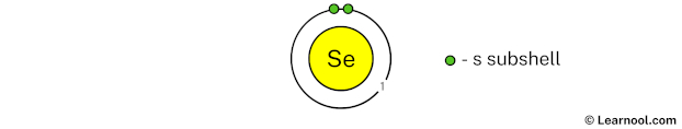 Selenium shell 1