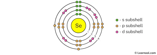 Selenium shell 4
