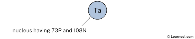 Tantalum nucleus