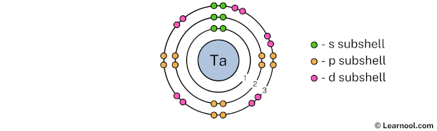 Tantalum shell 3