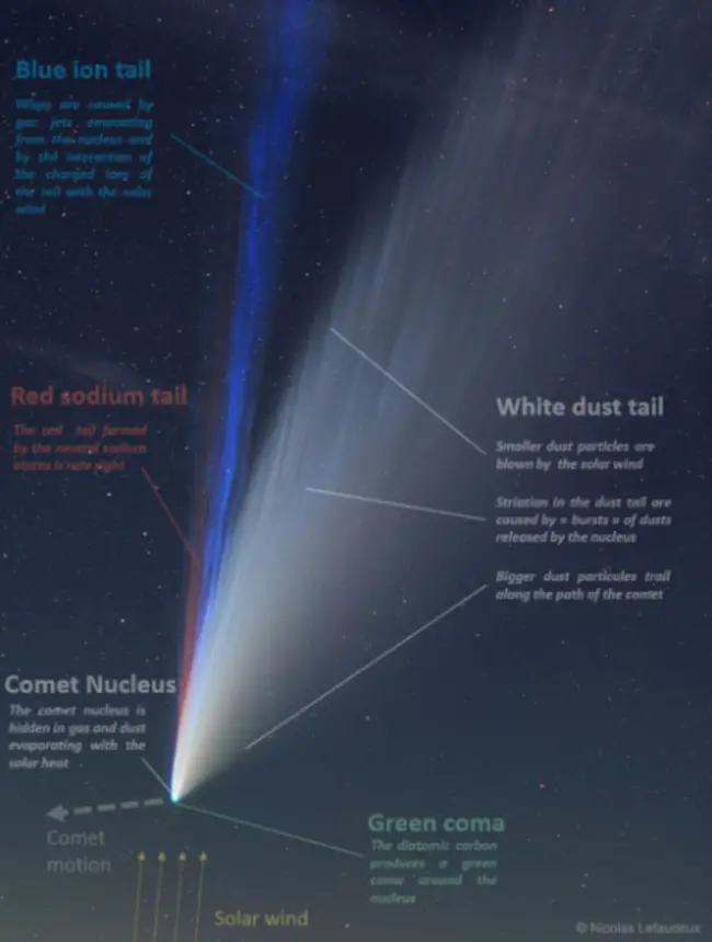 Comet NEOWISE's Hidden Red Sodium Tail