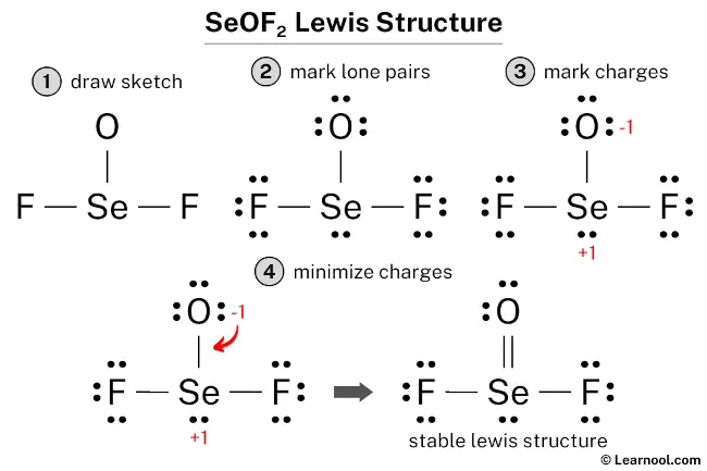 SeOF2 Lewis Structure