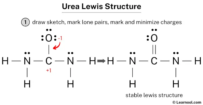 Urea Lewis Structure
